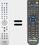 Replacement remote control for RAX31 (ZN043200)