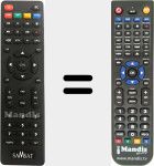 Replacement remote control for 100HD