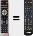Télécommande pour remplacer 25.J540H.001