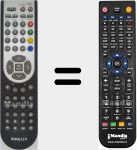 Telecomando sostituto di RC1900 (20420579)