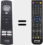 Telecomando sostituto di RC39175 (CT8566-1)