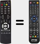 Telecomando sostituto di RC2900 (30067687)