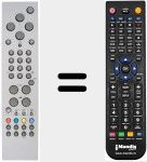 Telecomando sostituto di RC1551