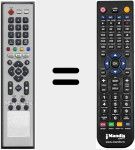 Telecomando sostituto di RC39HI