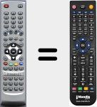 Ersatzfernbedienung für RG405PVRS2