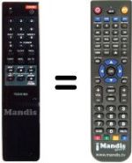 Télécommande équivalente 2029-8900