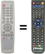 Replacement remote control FREE 1001