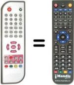 Replacement remote control DANYSTAR DVB-T136