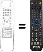 Telecomando equivalente RC 613311