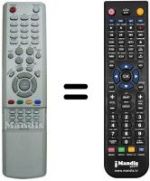 Telecomando equivalente Samsung BN59-00463A