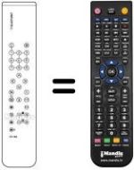 Telecomando equivalente REMCON819