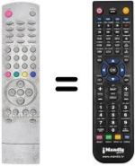Telecomando equivalente REMCON393