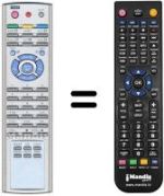 Telecomando equivalente REMCON802