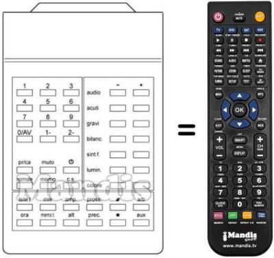 Replacement remote control 210 1001-9