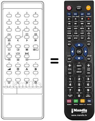 Replacement remote control 2031 M