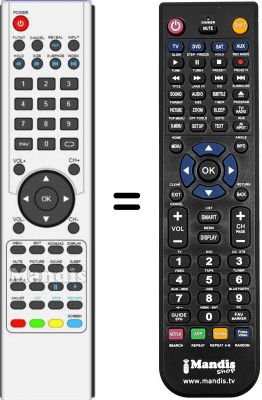 Replacement remote control Blusens H305CIRST2B24PSP-1101471