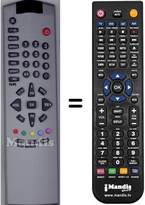 Gleichwertige Fernbedienung Dantax 30 LCD B1