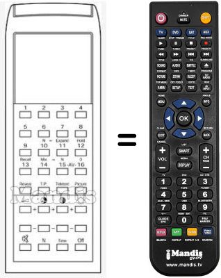 Telecomando equivalente HVS54319